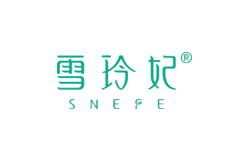 數(shù)字營(yíng)銷(xiāo):雪玲妃